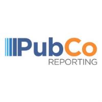 PubCo Reporting Solutions image 1